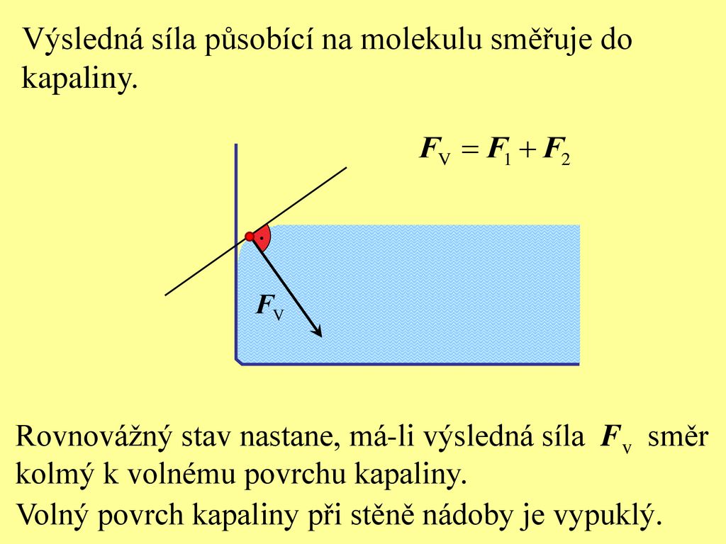 Pevn Ho T Lesa A Kapaliny Ppt St Hnout